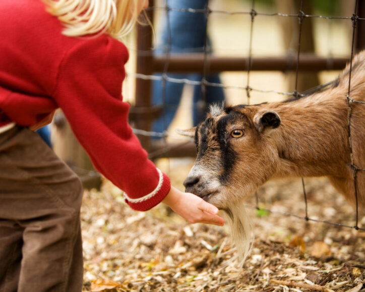 McGowanAllied-zoonotic-diseases